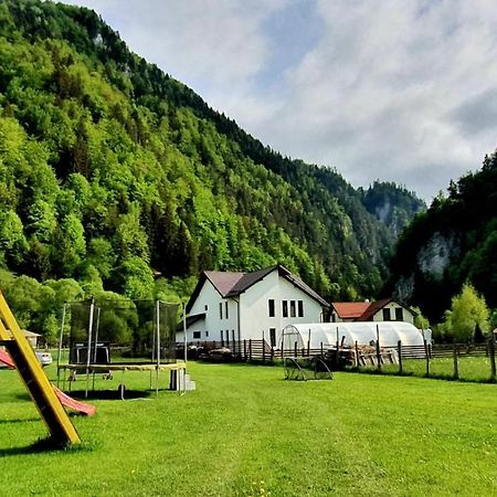 فندق Casa Petruta Dambovicioara Podu Dimbovitei المظهر الخارجي الصورة