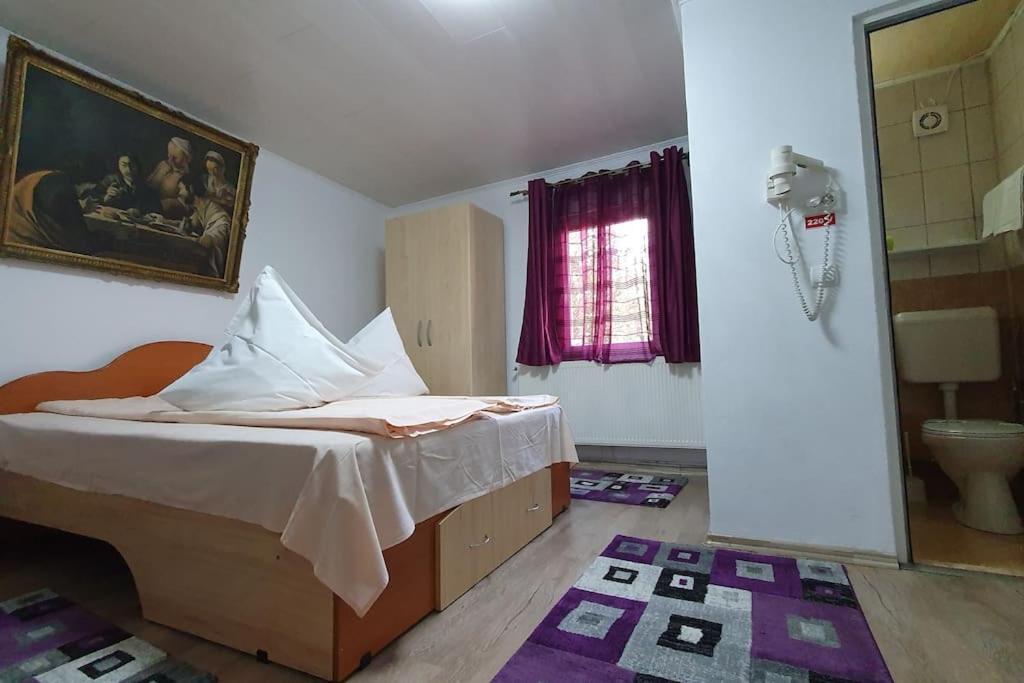 فندق Casa Petruta Dambovicioara Podu Dimbovitei المظهر الخارجي الصورة