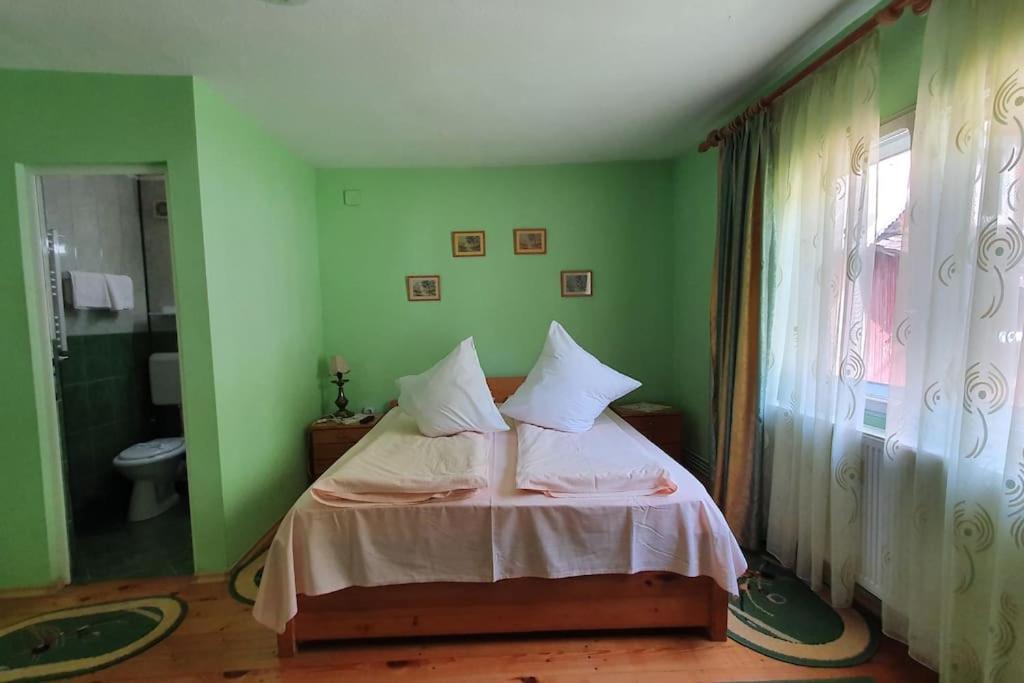فندق Casa Petruta Dambovicioara Podu Dimbovitei المظهر الخارجي الصورة