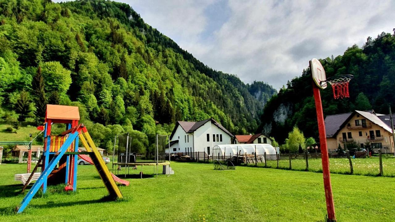 فندق Casa Petruta Dambovicioara Podu Dimbovitei المظهر الخارجي الصورة