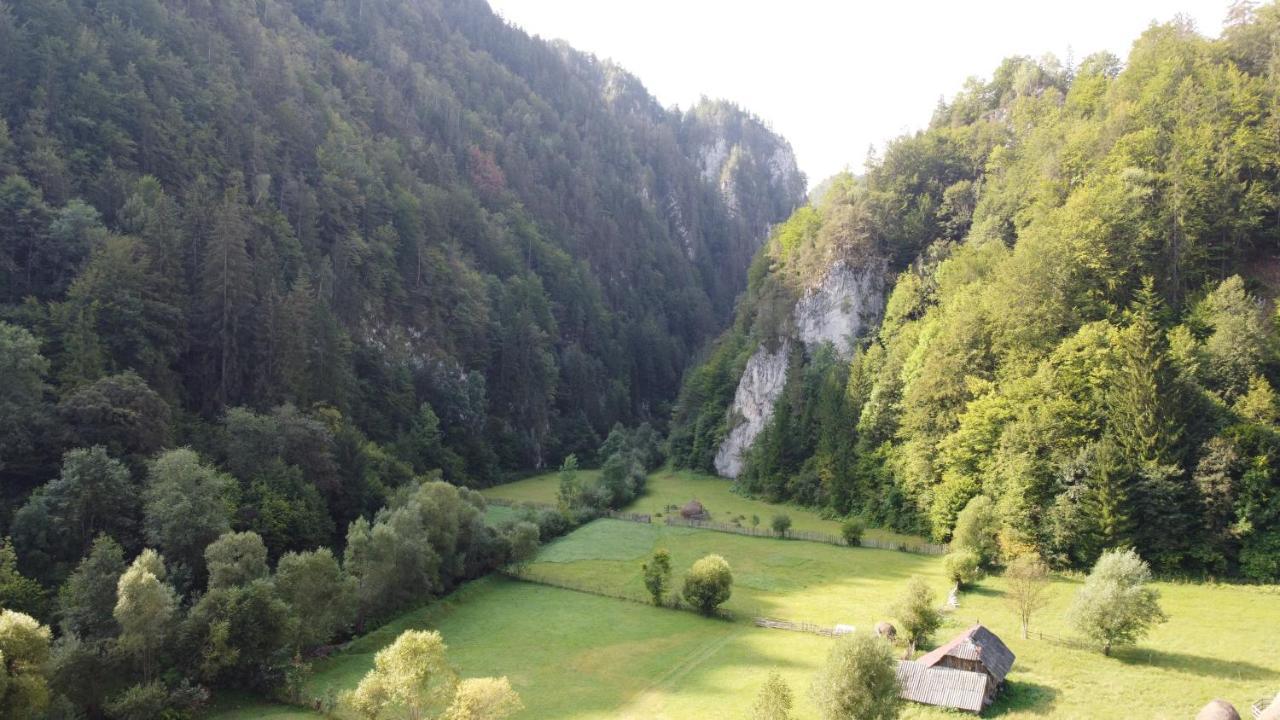 فندق Casa Petruta Dambovicioara Podu Dimbovitei المظهر الخارجي الصورة